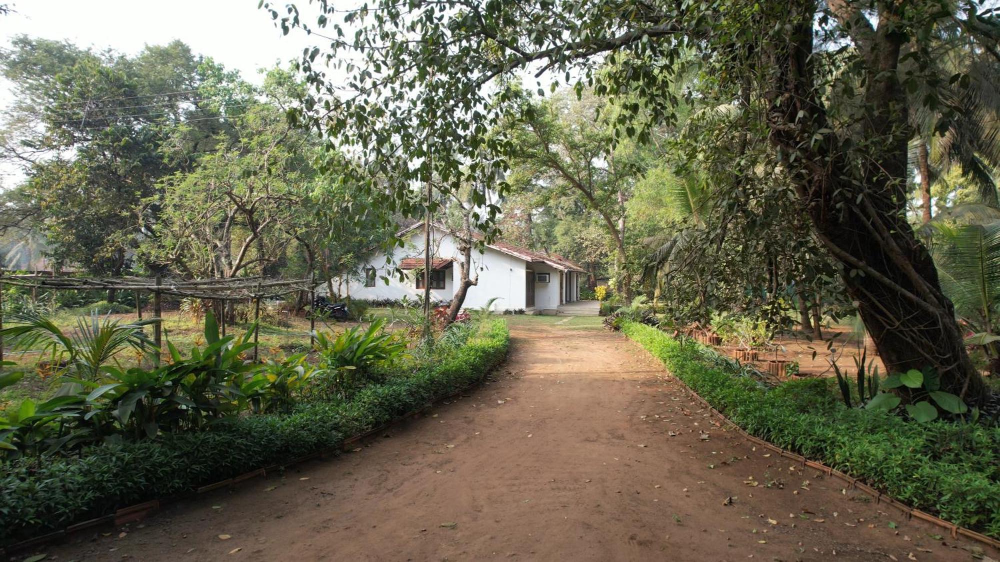 Banyan House - Luxurious 4 Bedroom Villa On One Acre, Near The Beach Nagaon  Exteriör bild