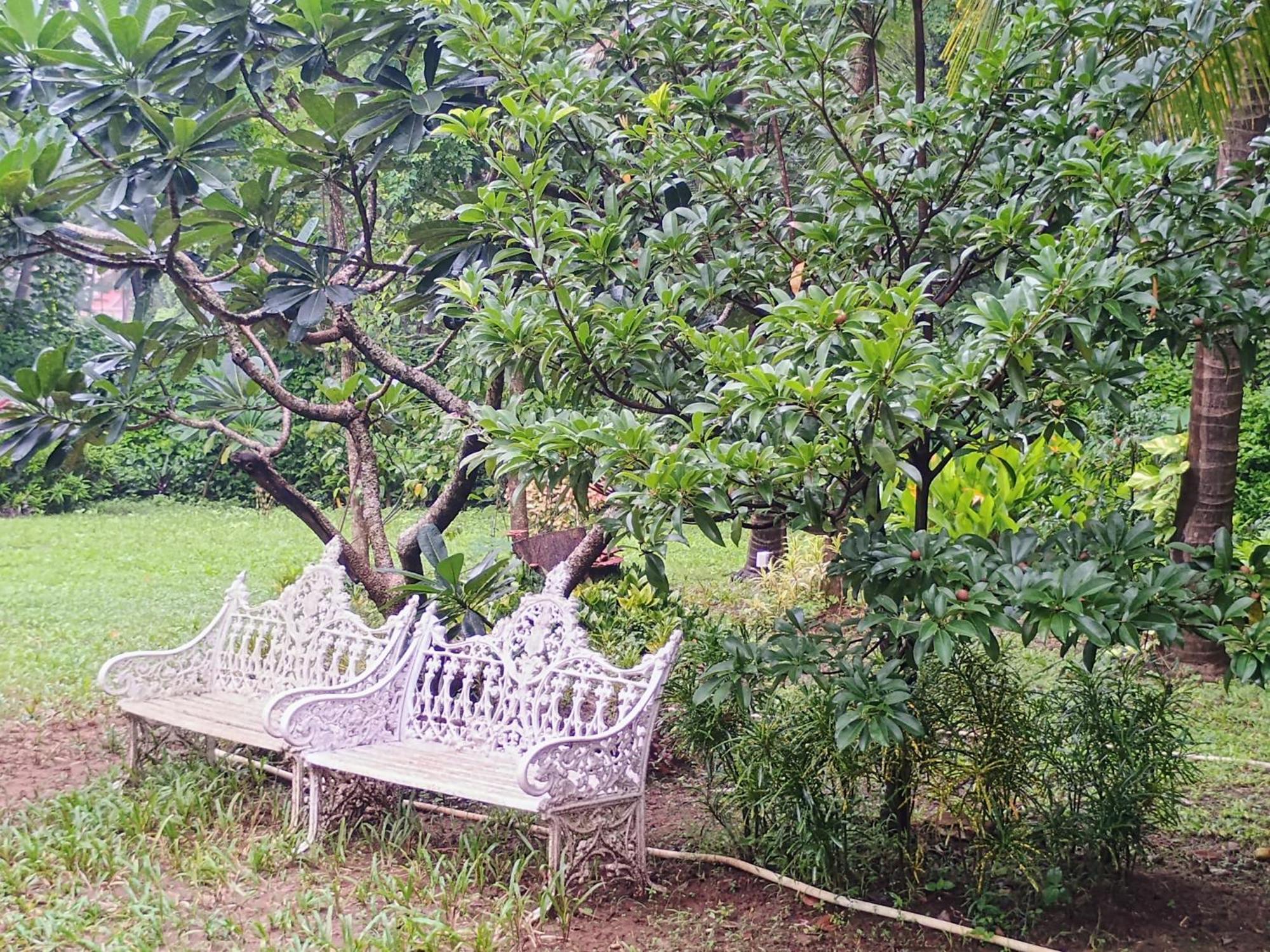 Banyan House - Luxurious 4 Bedroom Villa On One Acre, Near The Beach Nagaon  Exteriör bild
